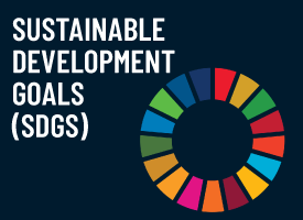 Sustainable Development Goals - Learn with MiniMines