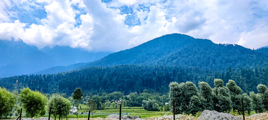Why India’s Reasi lithium mine received zero bids Recycling is the way